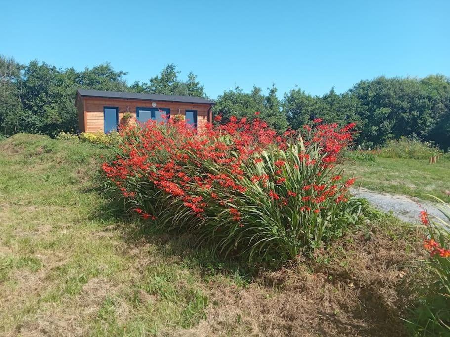 Ceaser'S Cabin Is A Cosy 1 Bedroom Cabin Lahinch Exterior photo